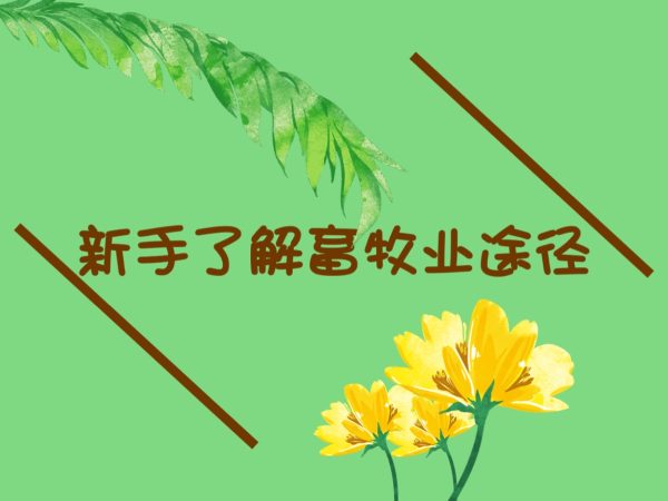 新手了解畜牧业发展途径