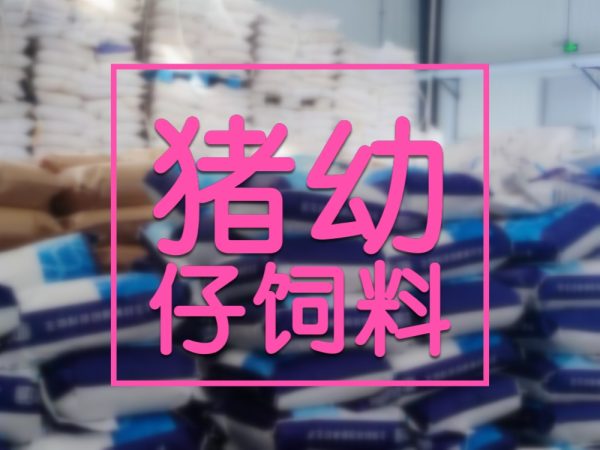 野猪幼仔的饲料应具备什么特点