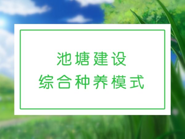 高产稻虾池塘建设技术要点